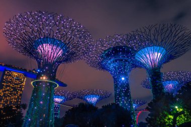 SINGAPORE, 3 EKİM 2019: Körfezin yanındaki Bahçelerin Süperağaçları