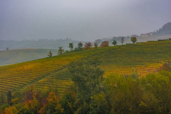 Wunderschöne Herbstliche Landschaft Der Langhe Dem Berühmten Weinanbaugebiet Piemont Italien — Stockfoto