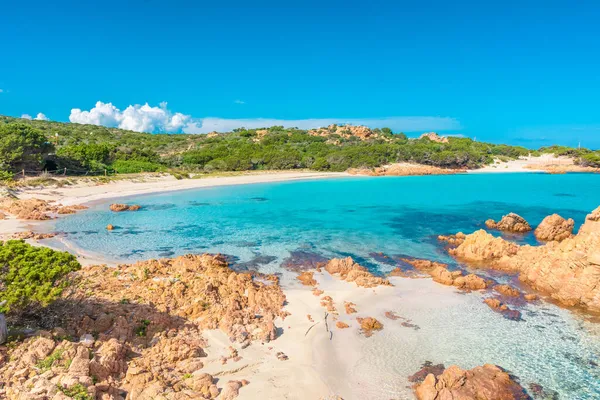 Amazing Pink Sand Beach Budelli Island Maddalena Archipel Sardinië Italië — Stockfoto