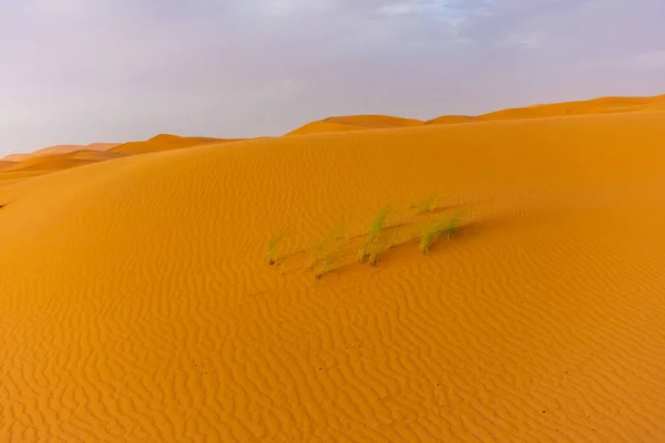 Krásná Krajina Dun Poušti Sahara Merzouga Maroko — Stock fotografie