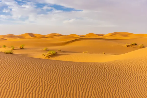 Hermoso Paisaje Las Dunas Desierto Del Sahara Merzouga Marruecos —  Fotos de Stock