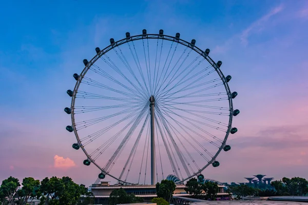 Rueda Panorámica Singapur — Foto de Stock