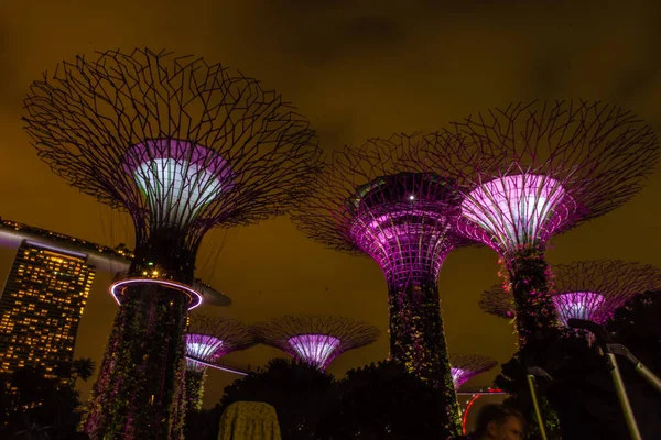 Cingapore Outubro 2019 Superárvores Dos Jardins Junto Baía — Fotografia de Stock