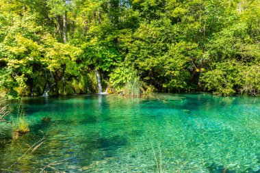 Plitvice Gölü Ulusal Parkı manzarası, kristal su manzarası