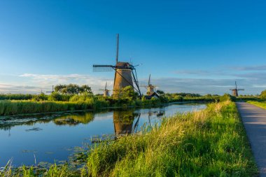 Hollanda 'nın ünlü Kinderdijk yel değirmenleri.
