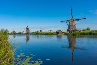 Hollanda 'nın ünlü Kinderdijk yel değirmenleri.