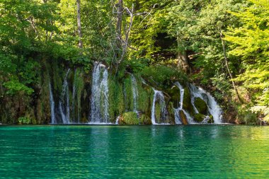 Plitvice Gölü 'nün kristal suyuna akan şelaleler