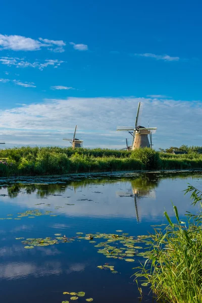 Beroemde Molens Van Kinderdijk Nederland — Stockfoto