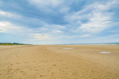 Leba 'nın kum tepeleri Polonya' nın Slowinski Ulusal Parkı çölünde