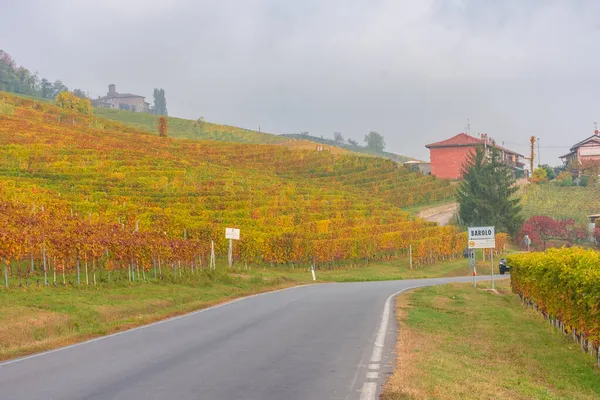 Csodálatos Őszi Táj Langhe Híres Szőlőültetvény Területén Piedmont Olaszország — Stock Fotó