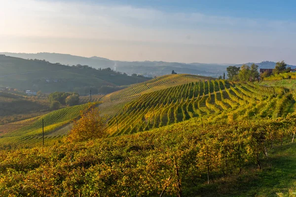 Csodálatos Őszi Táj Langhe Híres Szőlőültetvény Területén Piedmont Olaszország — Stock Fotó