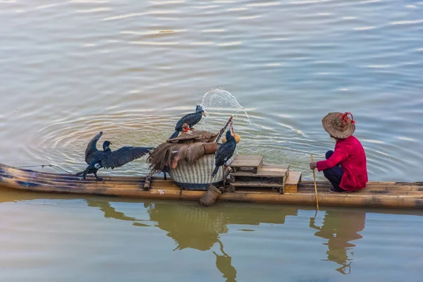 Yangshuo China Dezembro 2019 Pescador Cormorão Rio Yangshuo — Fotografia de Stock