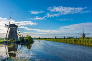 Hollanda 'nın ünlü Kinderdijk yel değirmenleri.