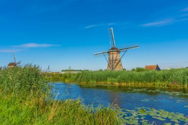 Hollanda 'nın ünlü Kinderdijk yel değirmenleri.
