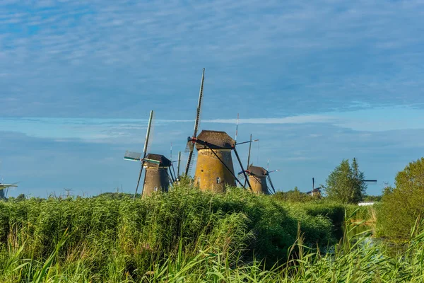 Famosos Moinhos Vento Kinderdijk Nos Países Baixos — Fotografia de Stock