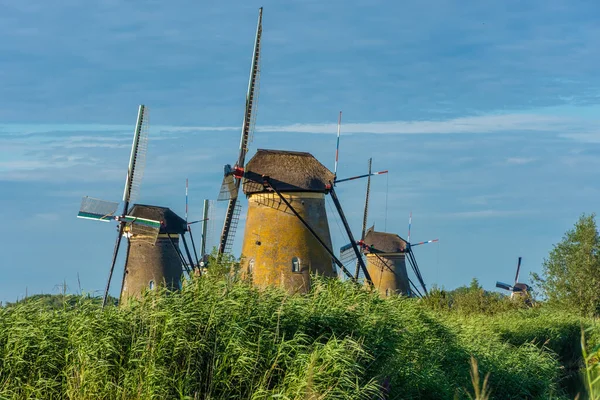 Słynne Wiatraki Kinderdijk Holandii — Zdjęcie stockowe