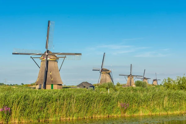 Famous Windmills Kinderdijk Netherlands — Stock Photo, Image