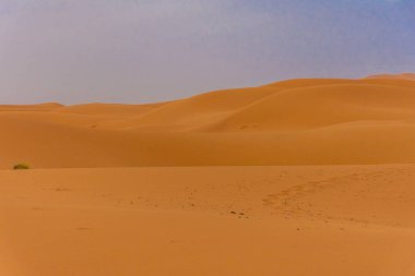 Alacakaranlıkta Sahra Çölü 'nün kumullarının güzel manzarası, Merzouga, Fas
