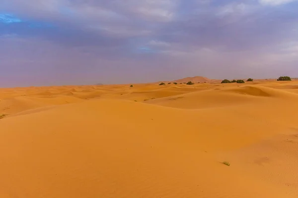 Bellissimo Paesaggio Delle Dune Del Deserto Del Sahara Crepuscolo Merzouga — Foto Stock