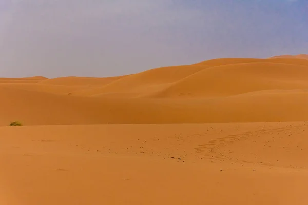 Hermoso Paisaje Las Dunas Del Desierto Del Sahara Atardecer Merzouga —  Fotos de Stock