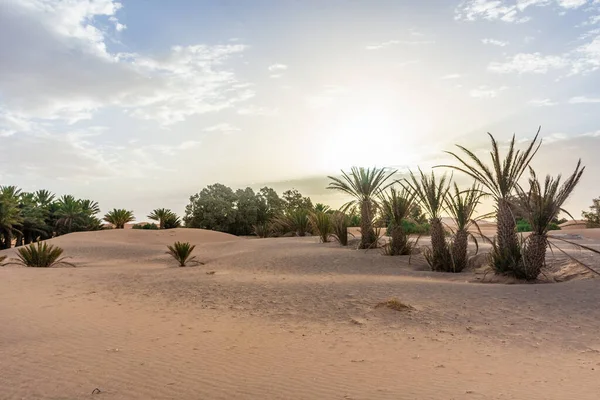 Schöne Landschaft Der Sahara Erg Chebbi Merzouga Marokko — Stockfoto