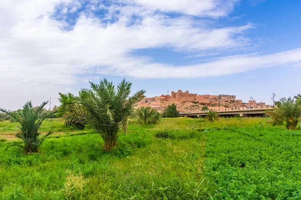 Oasis Tinghir Little Town Morocco — Stock Photo, Image