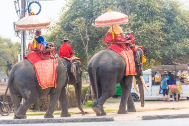 AYUTTHAYA, THAILAND, 12 HAZİRAN 2020: Ayutthaya 'ya turist taşıyan filler