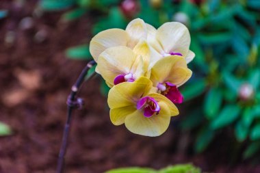 seyahat manzarası görünümü