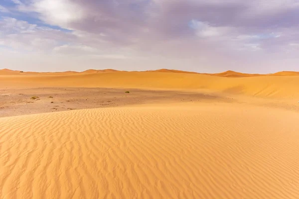 Piękny Krajobraz Wydm Saharze Merzouga Maroko — Zdjęcie stockowe