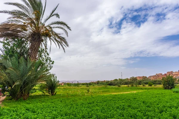 Oasis Tinghir Little Town Morocco — Stock Photo, Image