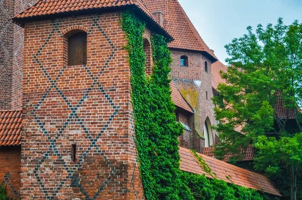 Torre Ricoperta Edera Nel Castello Malbork Polonia — Foto Stock