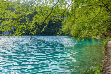 Hırvatistan 'ın Plitvice Gölleri yakınlarındaki tahta kaldırım