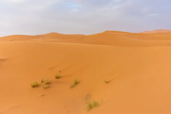 夕暮れ時のサハラ砂漠の砂丘の美しい風景 メルズーガ モロッコ — ストック写真