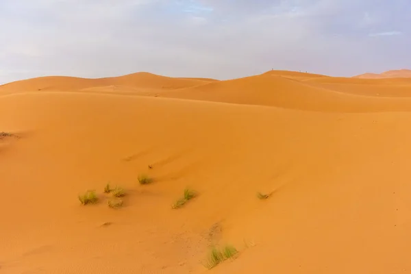 Hermoso Paisaje Las Dunas Del Desierto Del Sahara Atardecer Merzouga —  Fotos de Stock