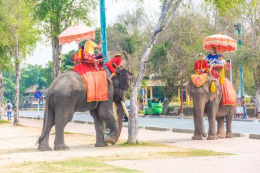 AYUTTHAYA, THAILAND, 12 HAZİRAN 2020: Ayutthaya 'ya turist taşıyan filler