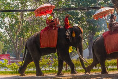 AYUTTHAYA, THAILAND, 12 HAZİRAN 2020: Ayutthaya 'ya turist taşıyan filler