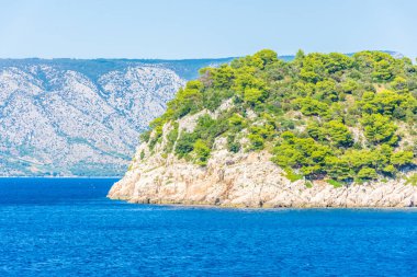 Hvar Adası manzarası ve Adriyatik Denizi ve Hırvatistan 'daki bitki örtüsü