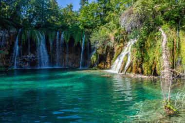 Hırvatistan 'ın Plitvice Göllerinde Şelale