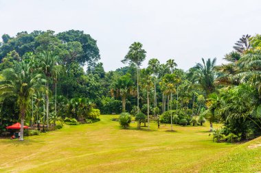 Singapur botanik bahçelerinin manzarası