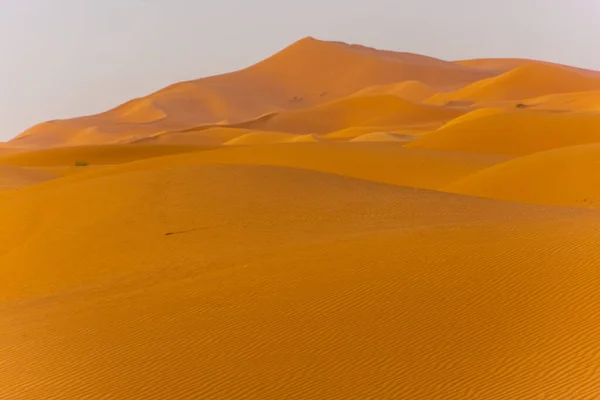Vackert Landskap Sanddynerna Saharaöknen Merzouga Marocko — Stockfoto