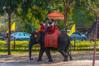 AYUTTHAYA, THAILAND, 12 HAZİRAN 2020: Ayutthaya 'ya turist taşıyan filler