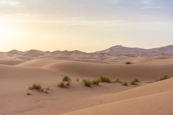 Bellissimo Paesaggio Del Deserto Del Sahara Erg Chebbi Merzouga Morocco — Foto Stock