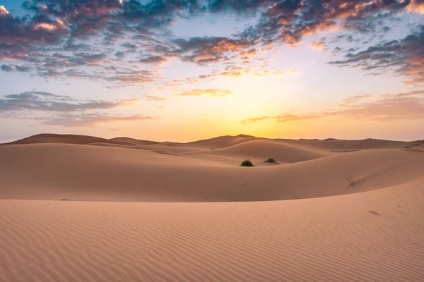 モロッコ サハラ砂漠のエルグ チェビ砂丘での夜明け — ストック写真