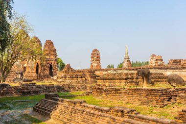 Ayutthaya Tapınağı 'nın antik kalıntıları, Tayland