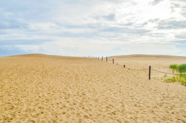 Leba 'nın kum tepeleri Polonya' nın Slowinski Ulusal Parkı çölünde