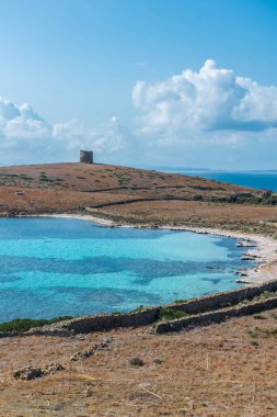 Eski kule ve güzel sahil Asinara adası, Sardunya, İtalya