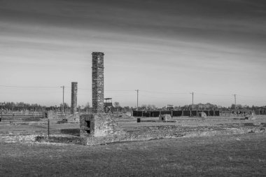 AUSCHWITZ BIRKENAU. POLAND, 9 HAZİRAN 2022: Devasa Auschwitz Birkenau İmha Kampı