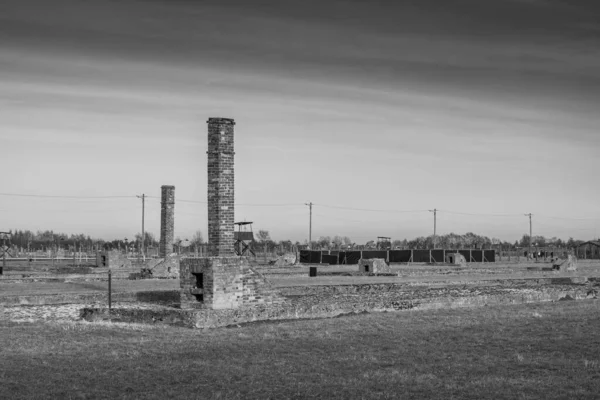 Auschwitz Birkenau Польща Январщина 2022 Вид Величезний Аушвіц Біркенау — стокове фото