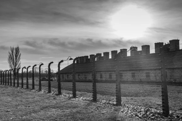 Auschwitz Birkenau Pologne Janvier 2022 Caserne Avec Clôture Métallique Dans — Photo