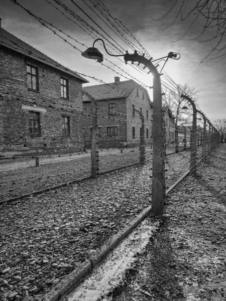 Auschwitz Birkenau Poland Hazi Ran 2022 Tel Örgüler Auschwitz Nazi — Stok fotoğraf